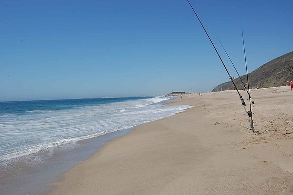 DSC 0173