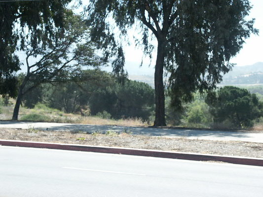 PICT0122