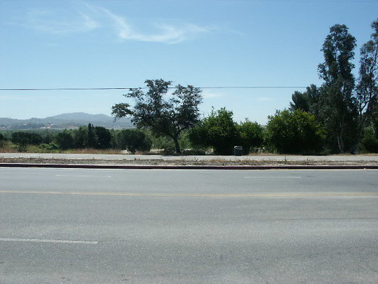 PICT0117
