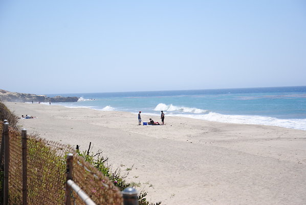 DSC 0100