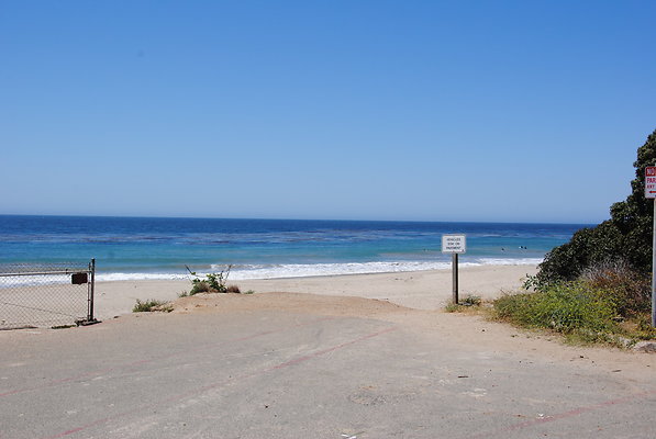DSC 0091