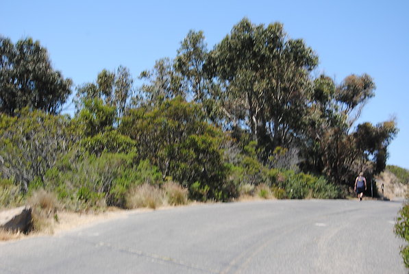 DSC 0049