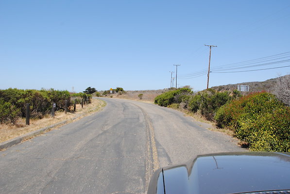 DSC 0052