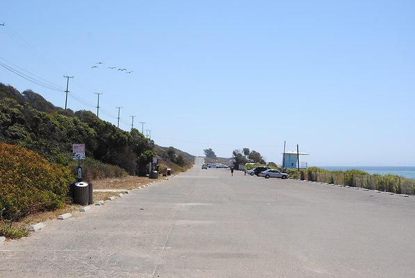 DSC 0087