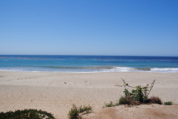 DSC 0097