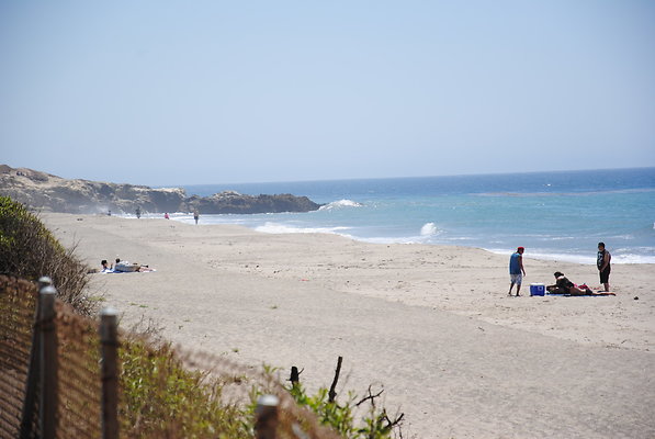 DSC 0099