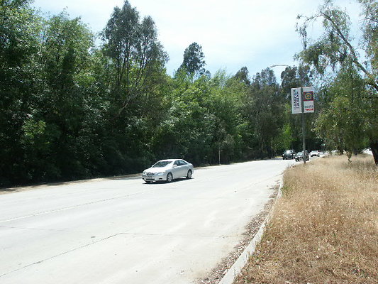 PICT0363