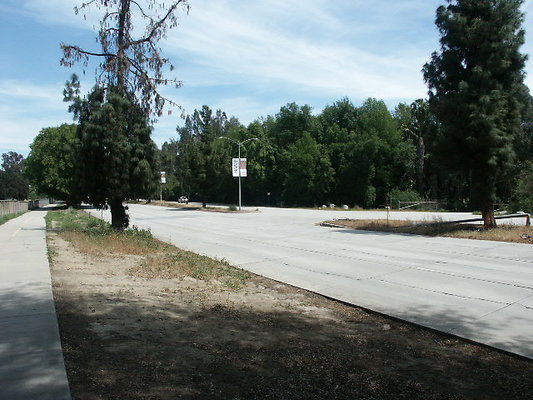 PICT0355
