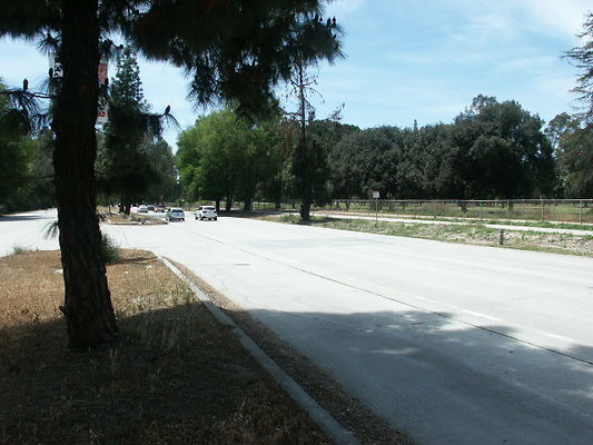 PICT0340
