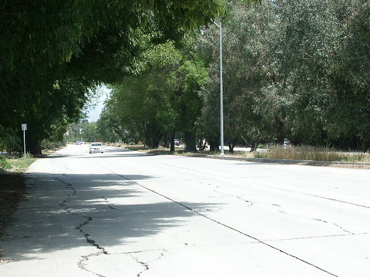 PICT0347