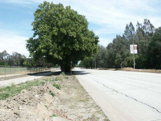 PICT0353