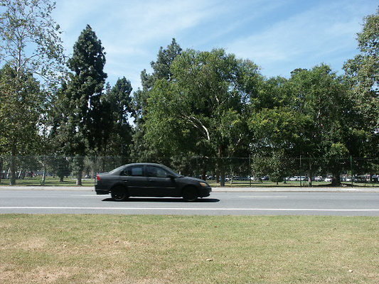 PICT0367