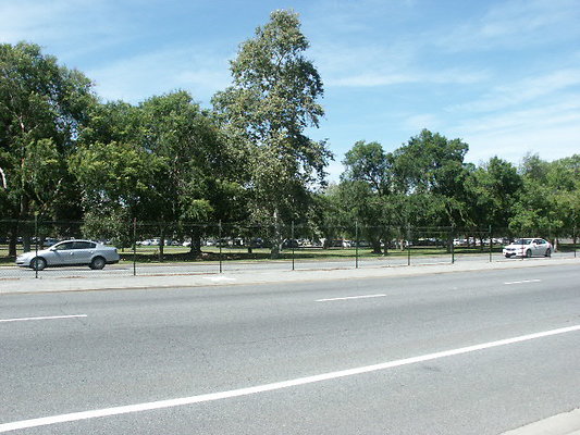 PICT0352