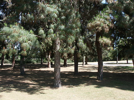 PICT0363