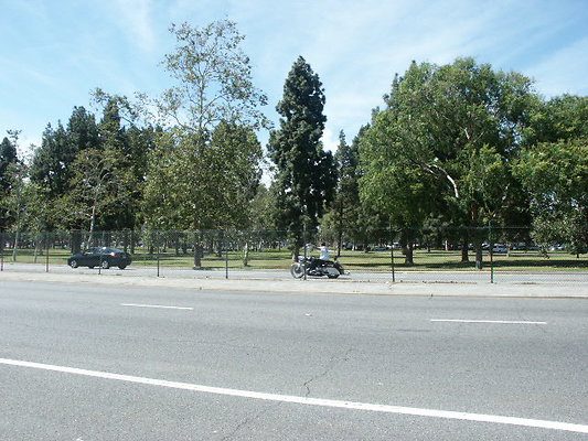 PICT0351