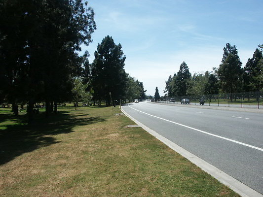 PICT0359