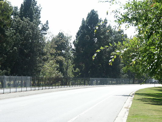 PICT0385