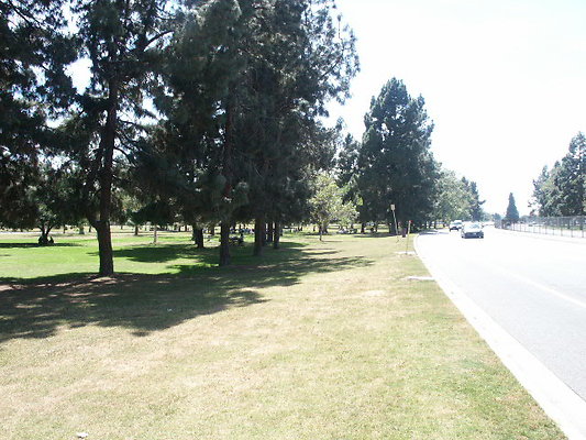 PICT0365
