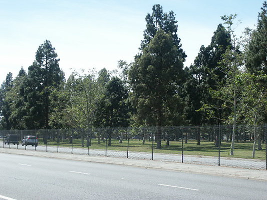 PICT0357