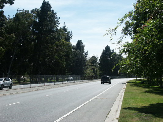 PICT0384