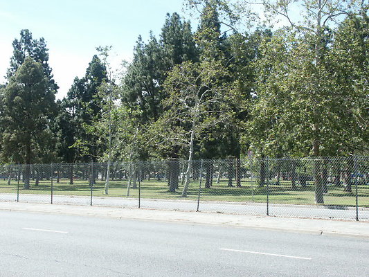 PICT0355