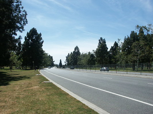 PICT0350