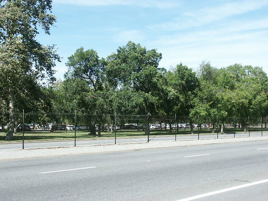 PICT0354