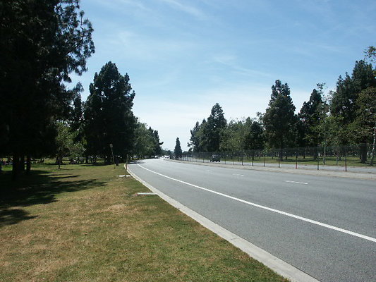 PICT0347