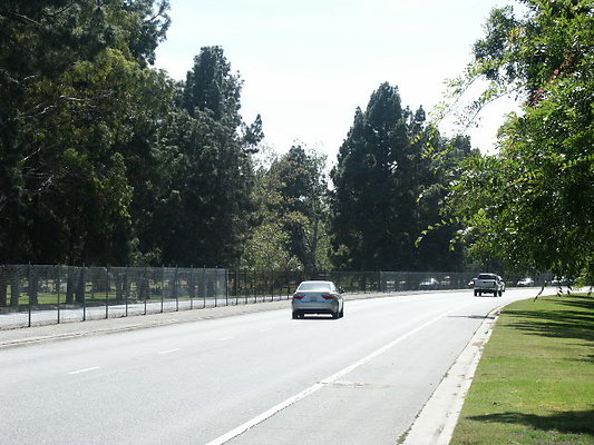 PICT0377