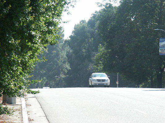 PICT0318