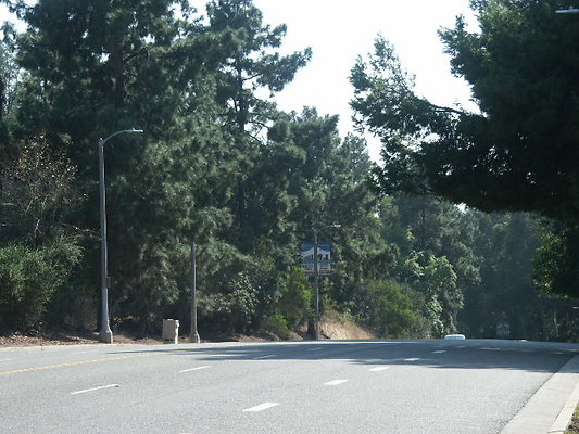PICT0300