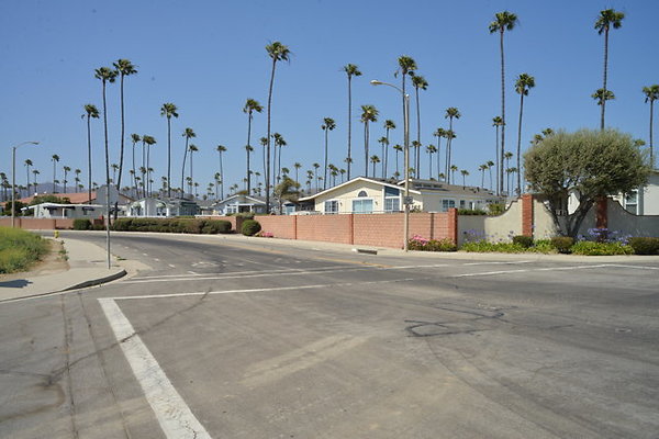DSC 6925