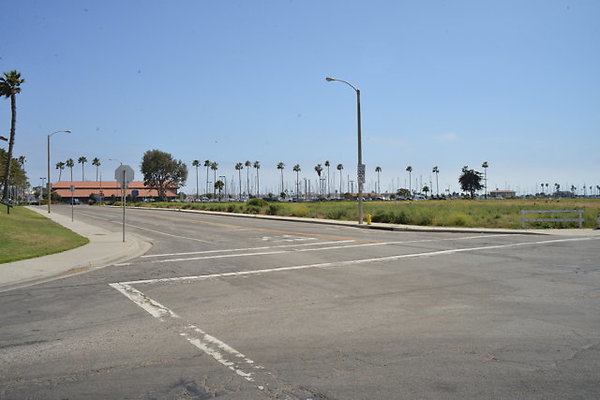 DSC 6919
