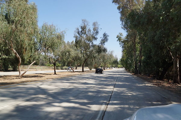 Burbank.Woodley.Balboa.60
