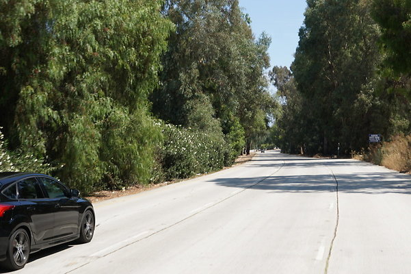 Burbank.Woodley.Balboa.55