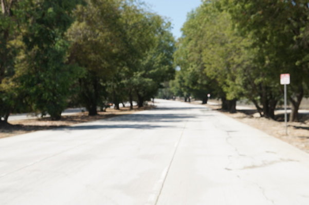 Burbank.Woodley.Balboa.08