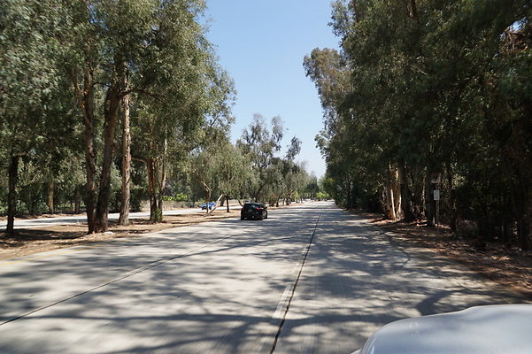 Burbank.Woodley.Balboa.59