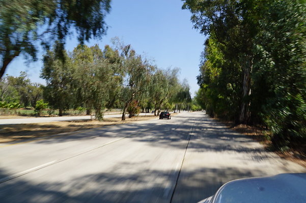 Burbank.Woodley.Balboa.61