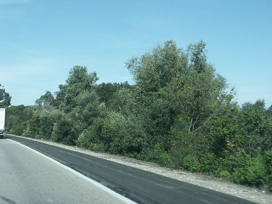 PICT0626