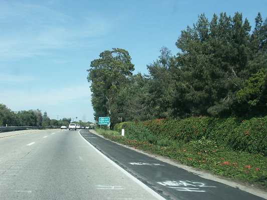 PICT0595