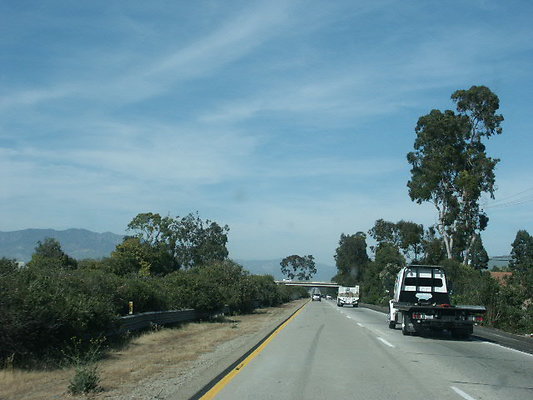 PICT0636