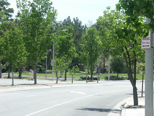 PICT0142