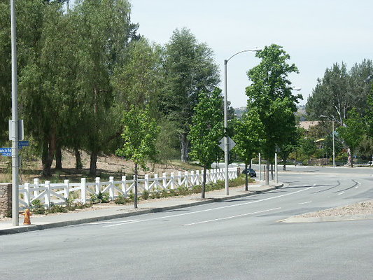 PICT0150