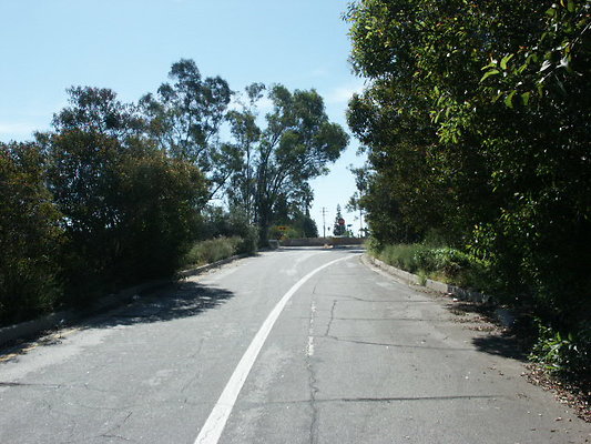 PICT0060