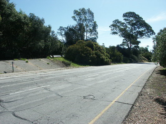 PICT0037