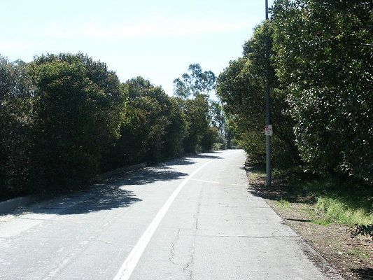PICT0052