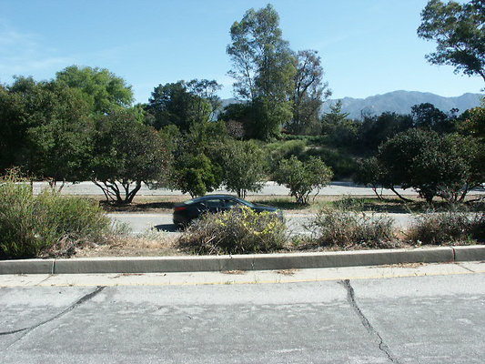 PICT0057