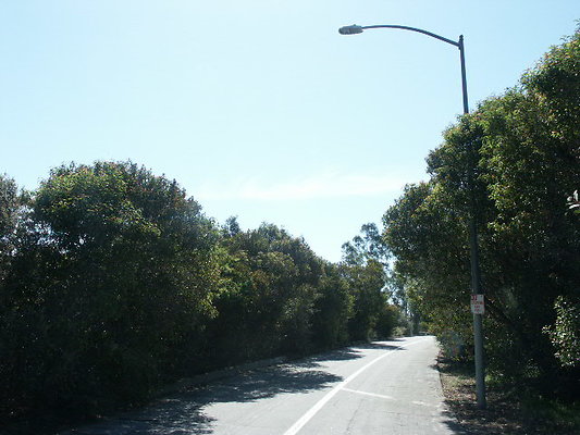 PICT0055