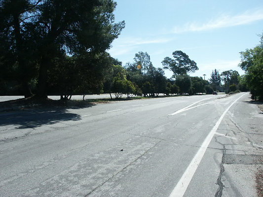 Oak Grove Dr W of Windsor Ave