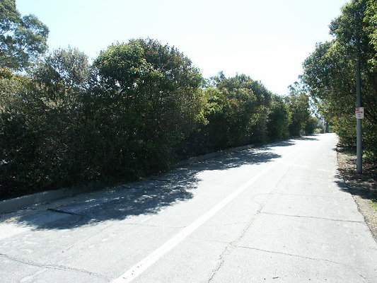 PICT0058